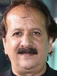 Majid Majidi