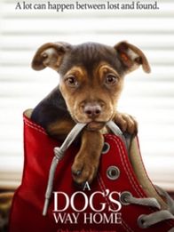 A Dog's Way Home