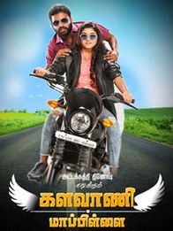 களவாணி மாப்பிளை