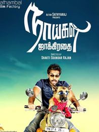 நாய்கள் ஜாக்கிரதை