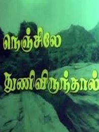 நெஞ்சில் துணிவிருந்தால்