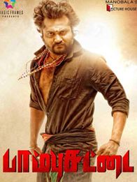 பாம்புச் சட்டை