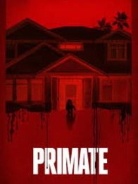 Primate