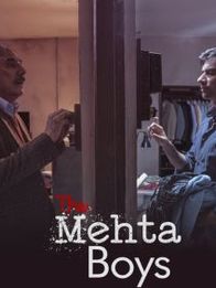 The Mehta Boys