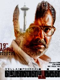 வெள்ளைப்பூக்கள்