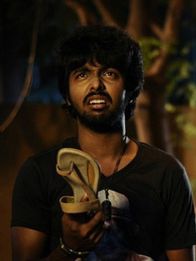 வெர்ஜின் மாப்ள