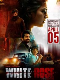 White Rose