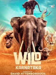 Wild Karnataka