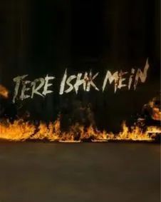 तेरे इश्क मैं