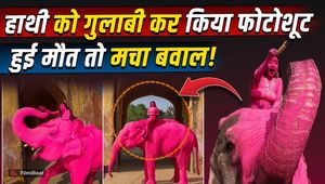 Pink Elephant: Did Russian Photographer’s Shoot Turn Fatal? Shocking Truth Revealed!