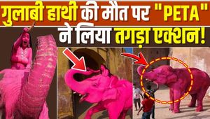 ‘Pink Elephant’ Photoshoot Row: PETA India Demands Action Against Russian Photographer!