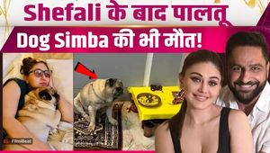 Shefali Jariwala's Dog Simba Dies After Her Death, Parag Tyagi Gets Emotional