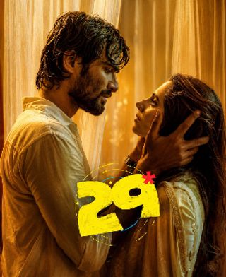 29 Streaming Now on Netflix 