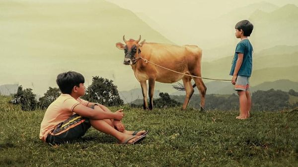 Valavaara OTT Release And Streaming Details