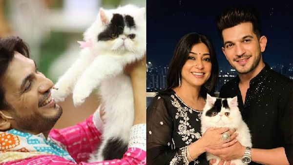 Laughter Chefs 3 Star Arjun Bijlani On His Pet Cat Aura: No Noise, No Drama - Just Her Presence Melts Me