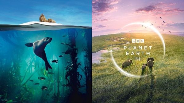 100 Years Of Sir David Attenborough: 8 Must-Watch Nature Epics To Stream This Week