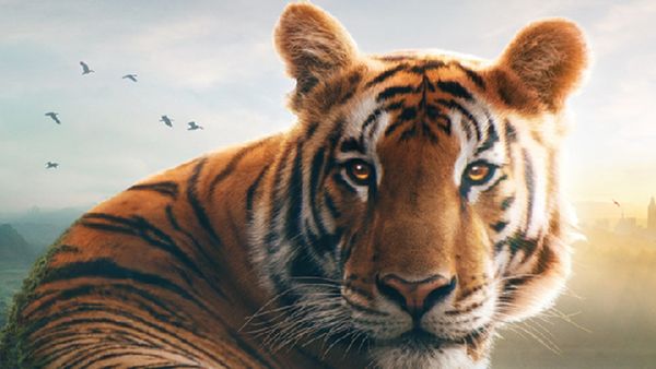 Asia Launch Date, Premiere Slot, Platform & Languages: When And Where To Watch The Wildlife Documentary Series