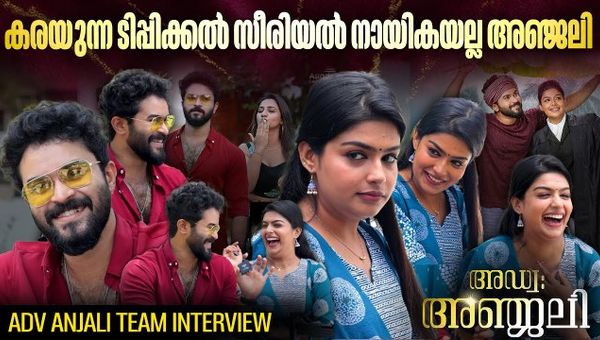 Parvathi and Kaushik, the stars of the latest serial Adv. Anjali, share their insights with Filmibeat