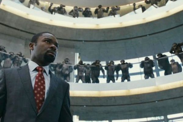 David Oyelowo Photos