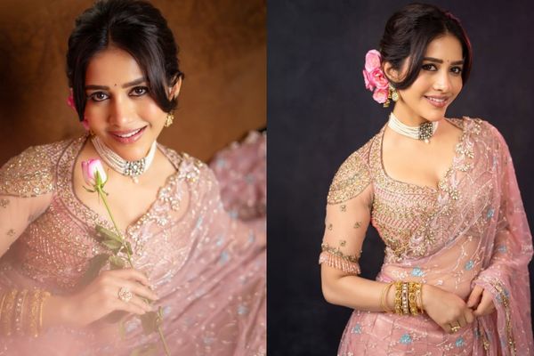 Nabha Natesh Serves Timeless Fashion Goals in Embroidered Pink Ensemble