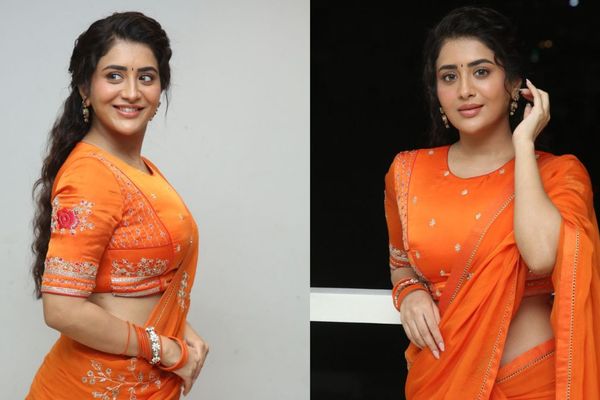 చీరకట్టులో మెరిసిన రాశి సింగ్.. వైరల్‌గా మారిన ట్రాన్స్‌ఫర్ త్రిమూర్తులు ఈవెంట్ ఫొటోలు..
