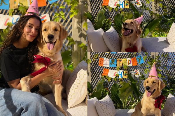 Tripti Dimri’s Adorable Pet Dog Lychee Birthday Celebration Is Pure Happiness and Love