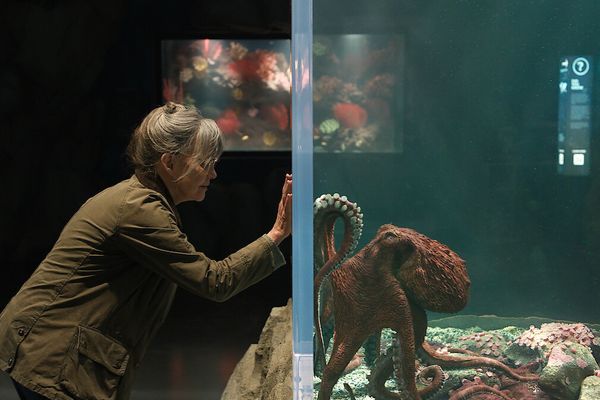 Why Everyone Is Talking About Alfred Molina’s Octopus Role in Netflix’s New Drama