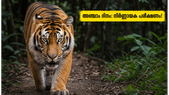 വെൽക്കം ടു ദി ജംഗിൾ: അഞ്ചാം ദിനത്തിൽ ബോക്സ് ഓഫീസിൽ നിർണ്ണായക പരീക്ഷണം! പ്രേക്ഷകർ കൈവിട്ടോ?