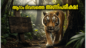 'വെൽക്കം ടു ദ ജംഗിൾ' ആറാം ദിവസത്തെ അഗ്നിപരീക്ഷ; ബോക്സ് ഓഫീസിൽ ചിത്രം പിടിച്ചുനിൽക്കുമോ?