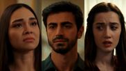 Arafta Episodes 85 Ending Explained: Asli's Evil Plans EXPOSED? Is Ates-Mercan's Marriage OVER?