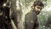 Kaattaan OTT Release Date And Platform: When And Where To Watch Vijay Sethupathi Starrer Series