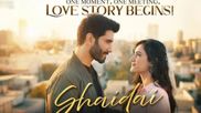 Shaidai Release Date In India: Know All About The Cast & Story Of Feroze Khan's New Pakistani Drama