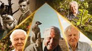 World Earth Day: Five Moments When India’s Wilderness Took Centerstage Through Sir David Attenborough's Lens 