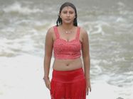 ಮುಂಗಾರು ಮಳೆಯಲ್ಲಿ ಒದ್ದೆ-ಮುದ್ದೆಯಾದ ಬೆಡಗಿಯರು  