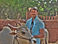 ಸ್ಯಾಂಡಲ್ ವುಡ್ ನಲ್ಲಿ ಸಂಕ್ರಾಂತಿ ಬಂತು ರತೋ ರತೋ 