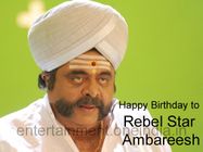 ರೆಬೆಲ್ ಸ್ಟಾರ್ ಅಂಬರೀಷ್ ಹುಟ್ಟುಹಬ್ಬ ಸಂಭ್ರಮ