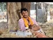ಸಾರ್ವಕಾಲಿಕ ದಾಖಲೆ ಸೃಷ್ಟಿಸಲಿದೆಯಾ 'ಅಂಬರೀಶ'?