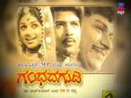 'ಗಂಧದ ಗುಡಿ'ಯಲ್ಲಿ ಡಾ.ರಾಜ್ ಗೆ ಗುಂಡು ಹಾರಿಸಿದ್ಯಾರು.? ದಶಕಗಳ ನಂತ್ರ ಸತ್ಯ ಬಟಾಬಯಲು.!