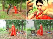  'ಪುಟ್ಟಗೌರಿ' ನಂತರ 'ನಂದಿನಿ' ಮೇಲೆ ಹುಲಿದಾಳಿ: ಈ ನಂದಿನಿ ತುಂಬ ಪವರ್ ಫುಲ್.! 