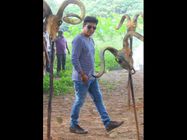 ಹೊಸಪೇಟೆಯಲ್ಲಿ ಅಬ್ಬರಿಸಲಿದೆ 'ಟಗರು' ಚಿತ್ರದ ಹಾಡುಗಳು