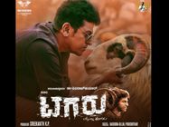 ಟ್ವಿಟ್ಟರ್ ವಿಮರ್ಶೆ: 'ಟಗರು' ಮಾರ್ನಿಂಗ್ ಶೋ ನೋಡಿದ ಪ್ರೇಕ್ಷಕರು ಖುಷಿಯೋ ಖುಷಿ