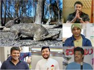 ಬಂಡೀಪುರ ಬೆಂಕಿ ದುರಂತ: ಮರುಗಿದ ದರ್ಶನ್, ಅಪ್ಪು, ವಿಜಿ, ಜಗ್ಗೇಶ್ ಮನ