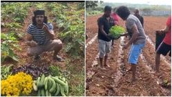 ಲಾಕ್ ಡೌನ್ ನಲ್ಲಿ ಸಾವಯವ ಕೃಷಿ ಮಾಡಿ ತೋರಿಸಿದ ನಟ ಉಪೇಂದ್ರ