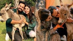 मशहूर स्टार ने वलीमा पर अपनी दुल्हनिया को तोहफे में दिया गधे का बच्चा, फूट-फूटकर रो पड़ी हसीना 