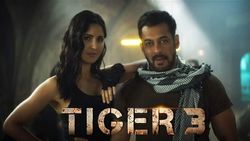 Tiger 3- श्रीधर राघवन ने सलमान खान की इस फिल्म को लेकर कर डाला इतना बड़ा खुलासा?