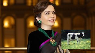 नीता अंबानी पीती हैं इतना महंगा दूध, RO का पानी पीती है गाय? कीमत जानकर लगेगा जोर का झटका