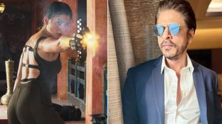 धुरंधर के वक्त कहां थे? Alpha और आलिया भट्ट की तारीफ कर ट्रोल हुए शाहरुख खान, क्या है पूरा मामला..