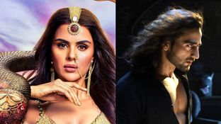 Will Naagin 7 Go OFF AIR In Next Two Months? Is Priyanka Choudhary-Namik Paul's Show ENDING? EXCLUSIVE