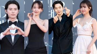 Baeksang Arts Awards 2026 Winners List: Park Bo Young-Hyun Bin Snag Best Actor/Actress; WHO Won The Grand Prize?