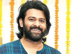 prabas: പ്രഭാസിനും കല്യാണം!! വധു നടി  നീഹാരിക? വെളിപ്പെടുത്തലുമായി ചിരഞ്ജീവി